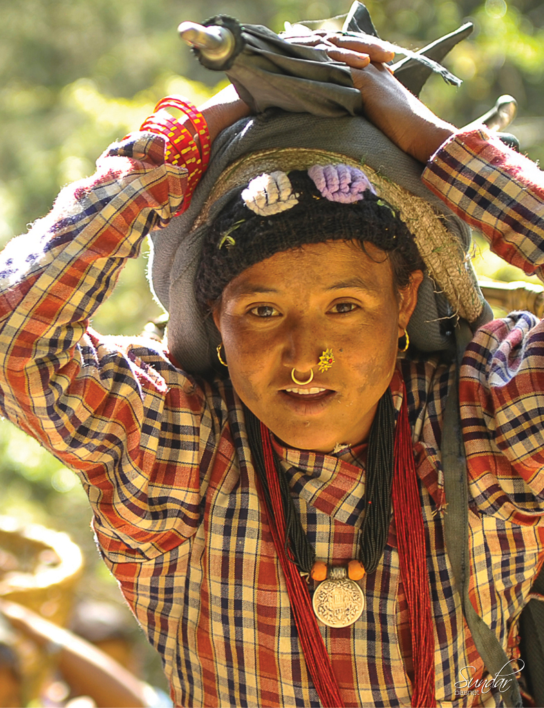 Nepali Kalasahitya Dot Com Pratishthan